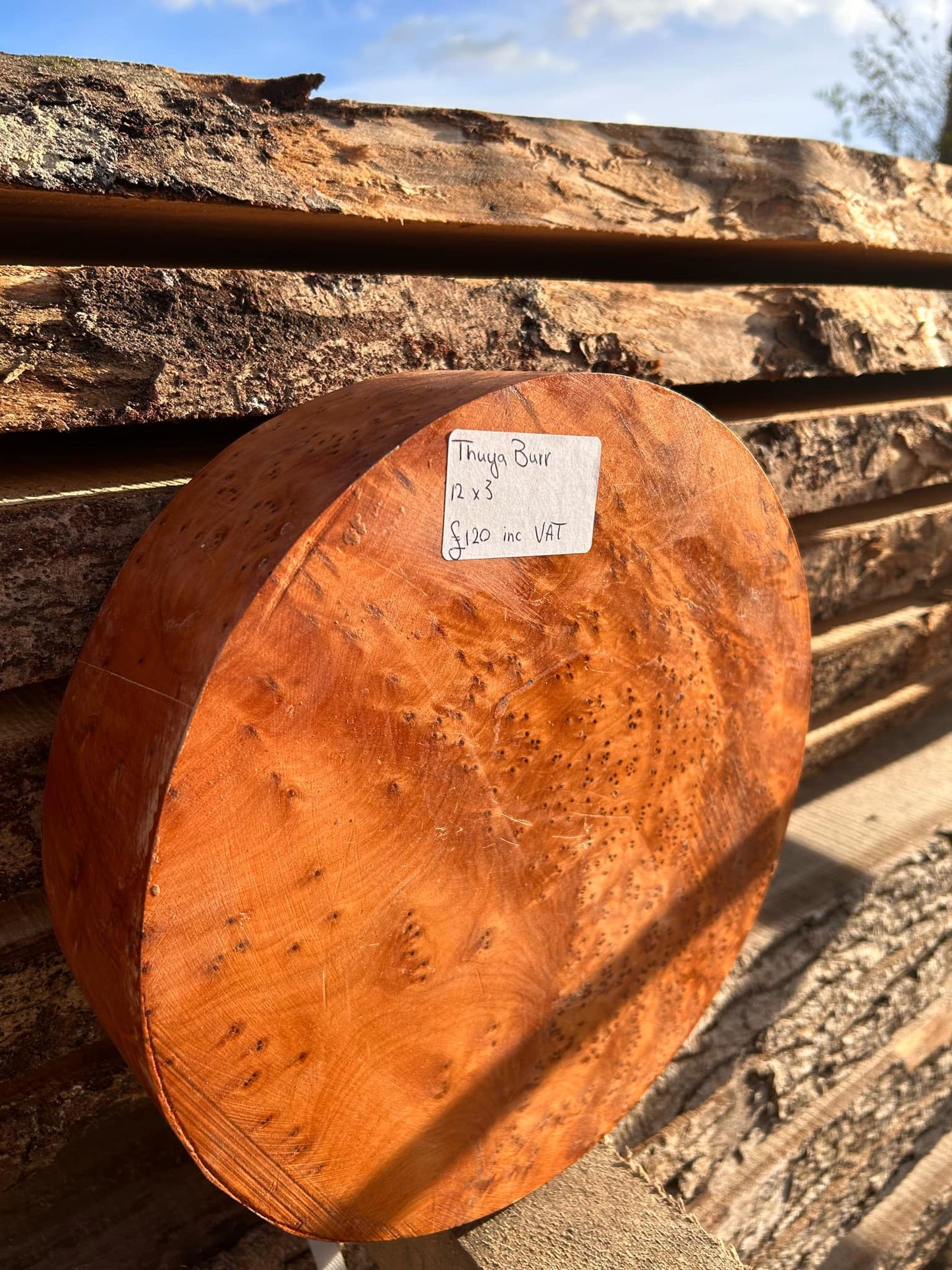 Thuya burr woodturning bowl blank