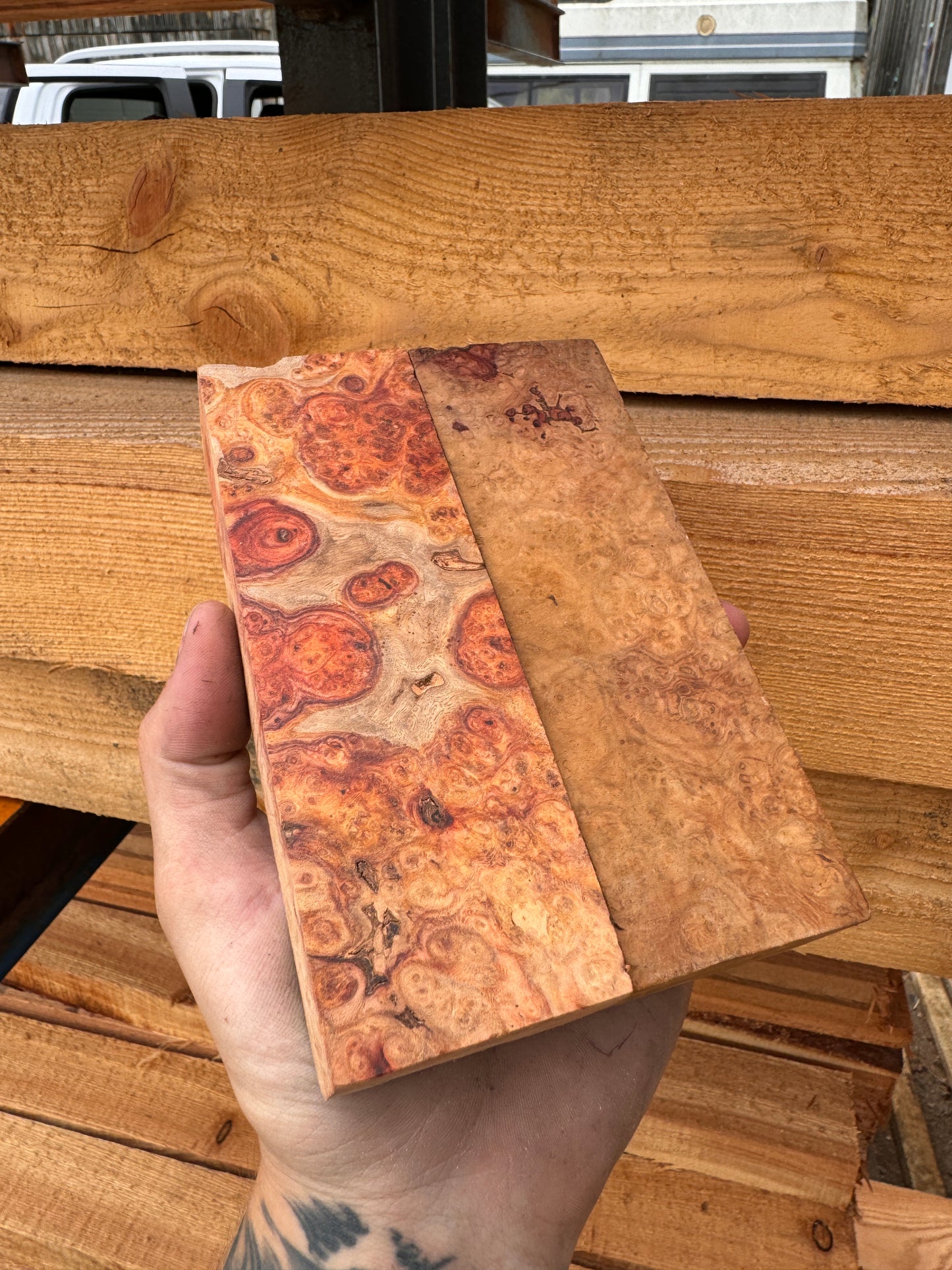 Amboyna burl knife scales