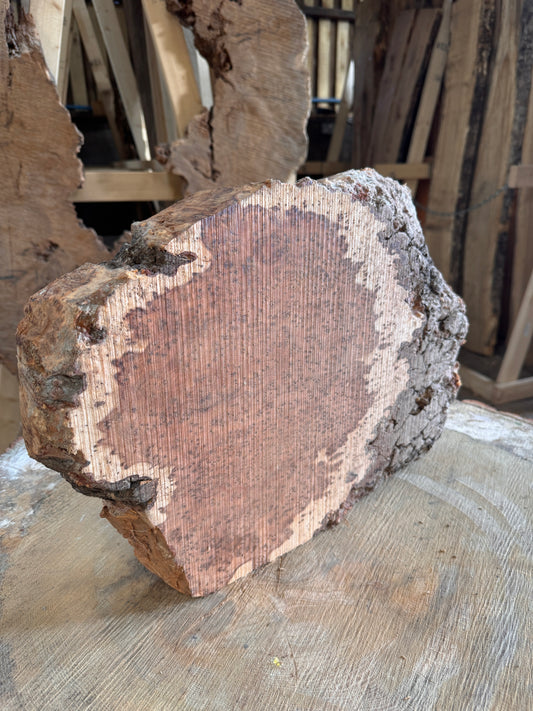 Thuya burr slab