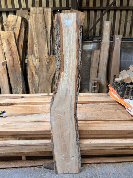 Live edge English ash slab