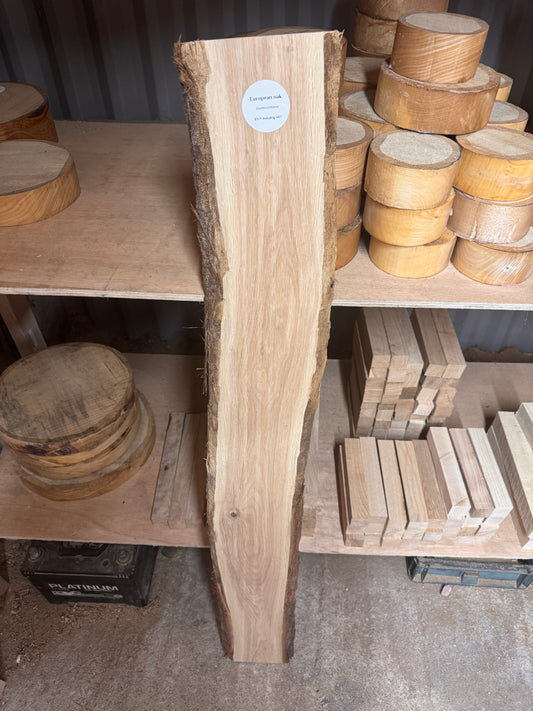 Live edge europea oak slab #2
