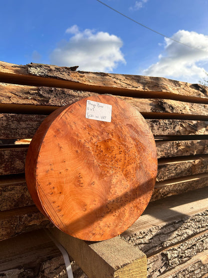 Thuya burr woodturning bowl blank