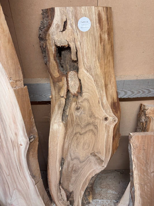 Live Edge English Oak Slab #1