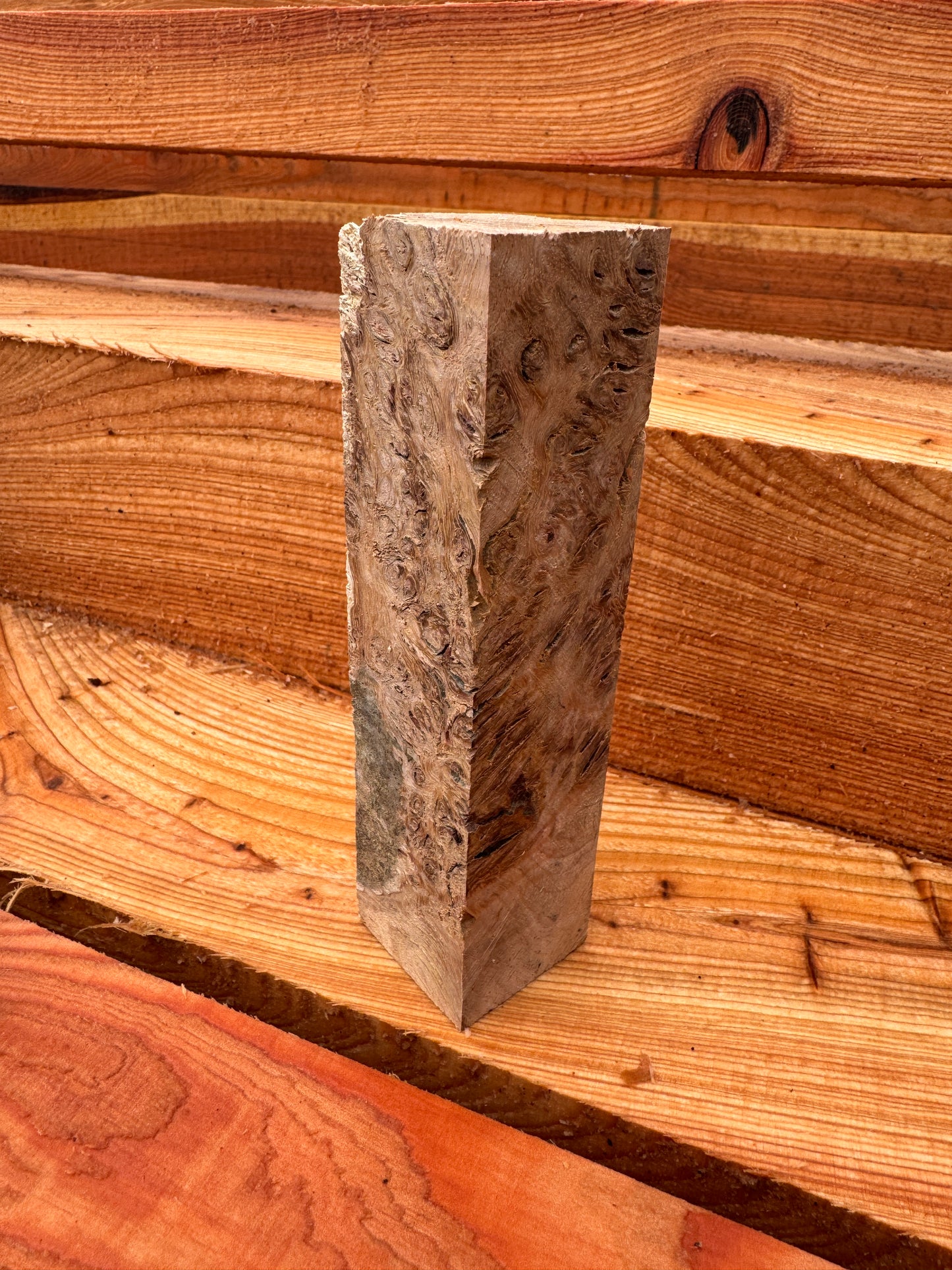 English oak burr spindle blanks