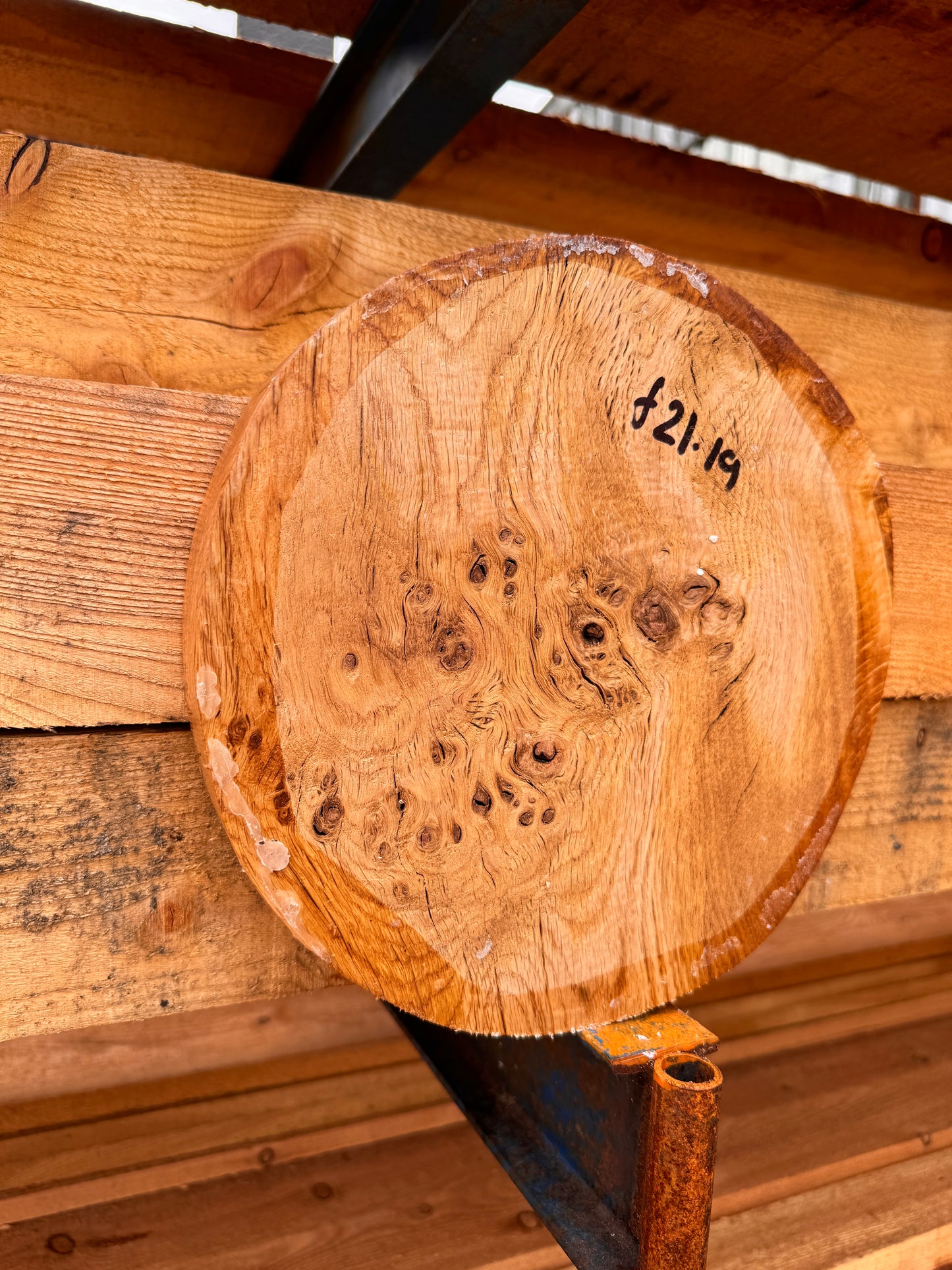 English oak burr bowl blank 250x40mm