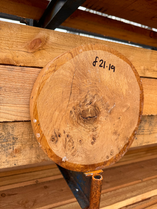 English oak burr bowl blank 250x40mm