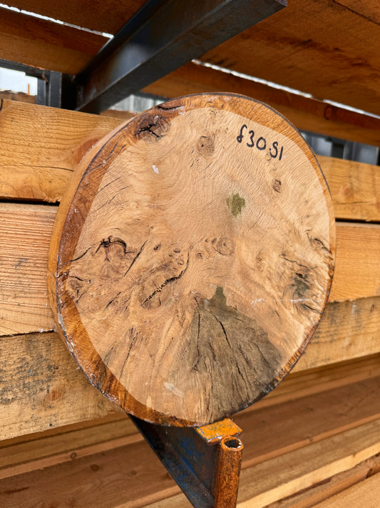 English oak burr bowl blank 300x40mm