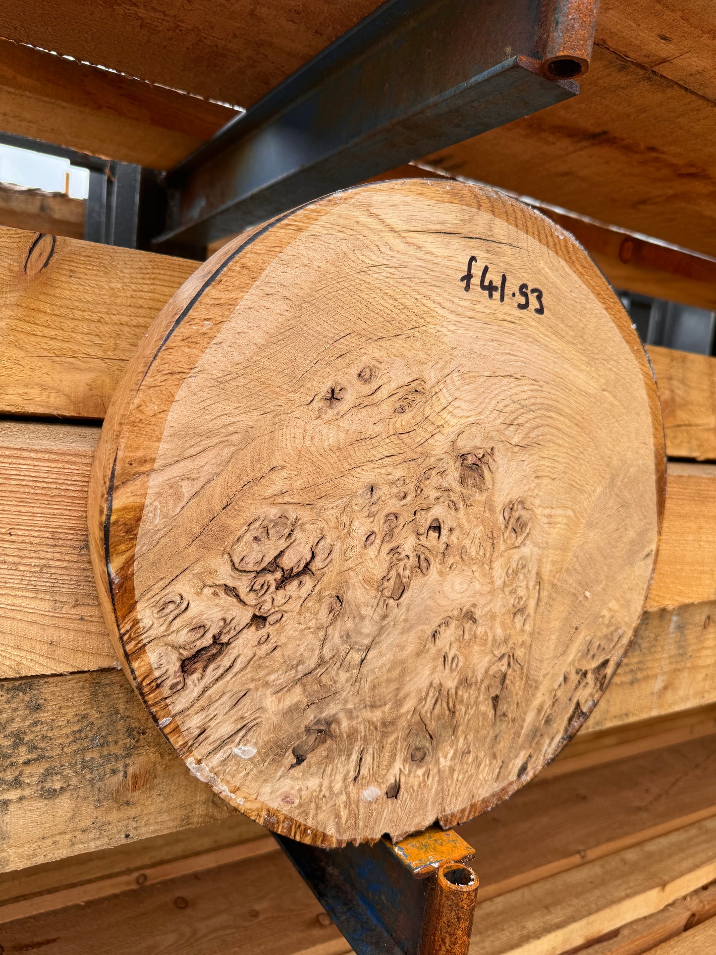 English oak burr bowl blank 350x40mm