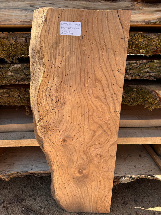 Wormy English elm slab