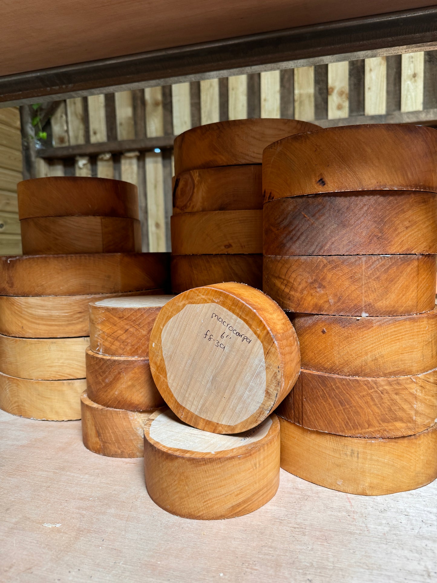 Macrocarpa Bowl Blanks