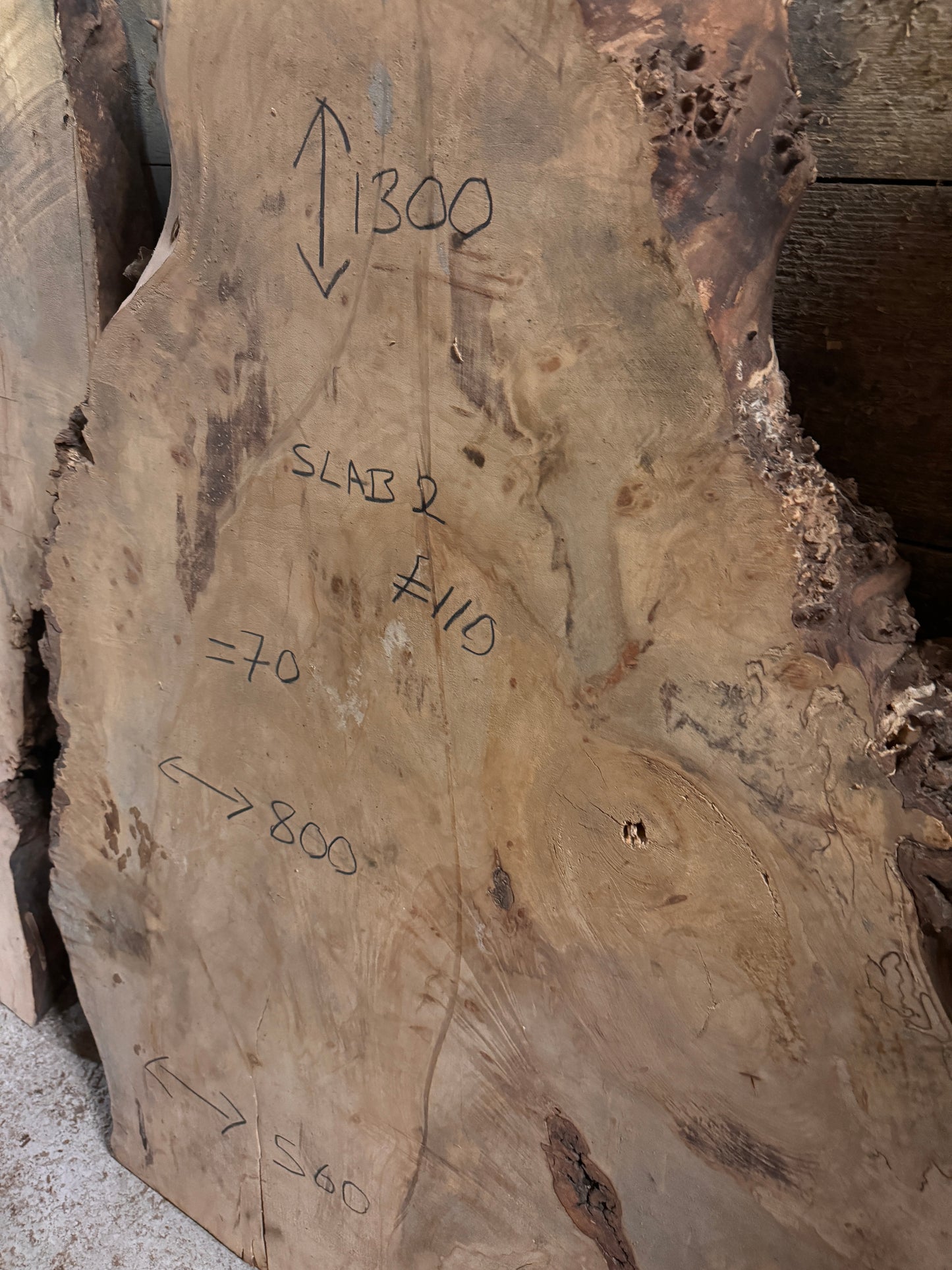 X1 live edge Horsechestnut burr slab