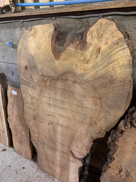 X1 Live edge horse chestnut slab