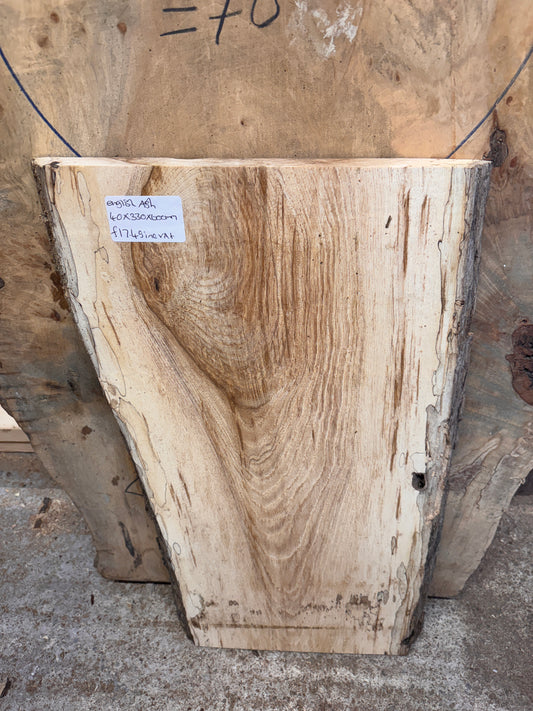 Live edge English ash slab #2