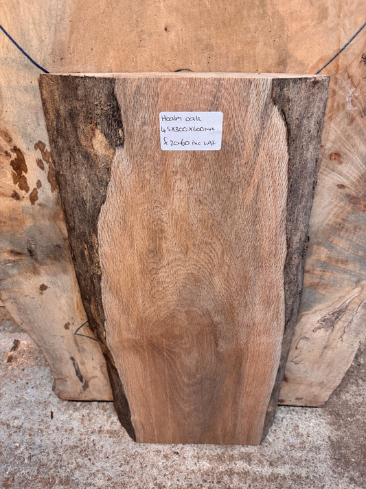 Live edge holm oak slab #1