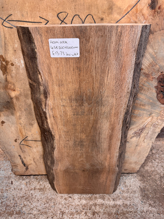 Live edge holm oak slab #2