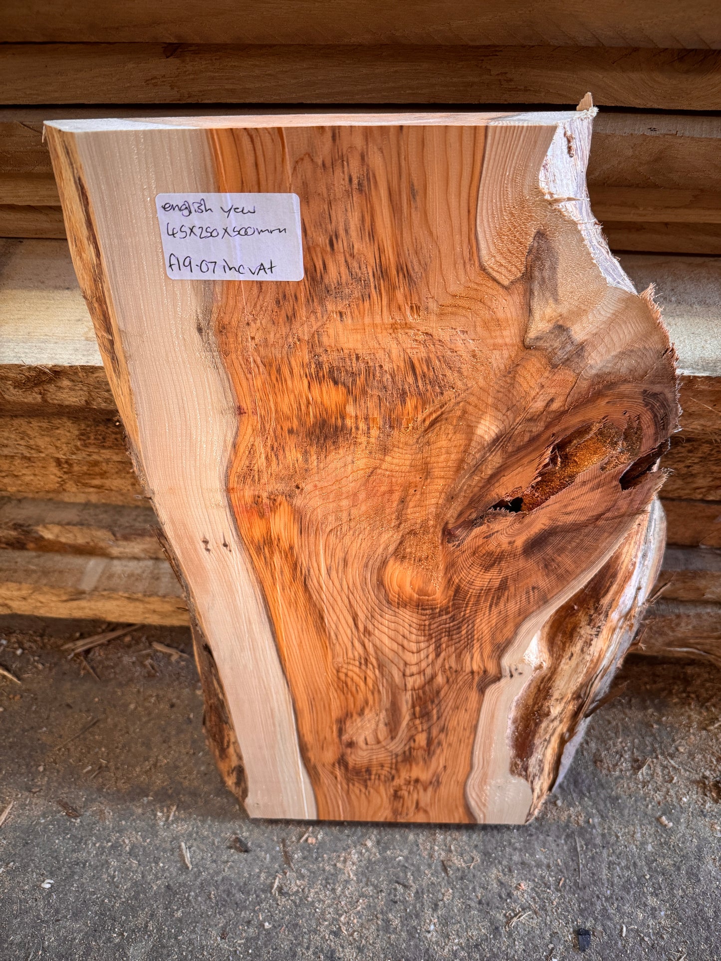 Live edge English yew slab #1