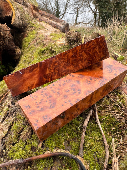 Thuya Burl Knife Scales