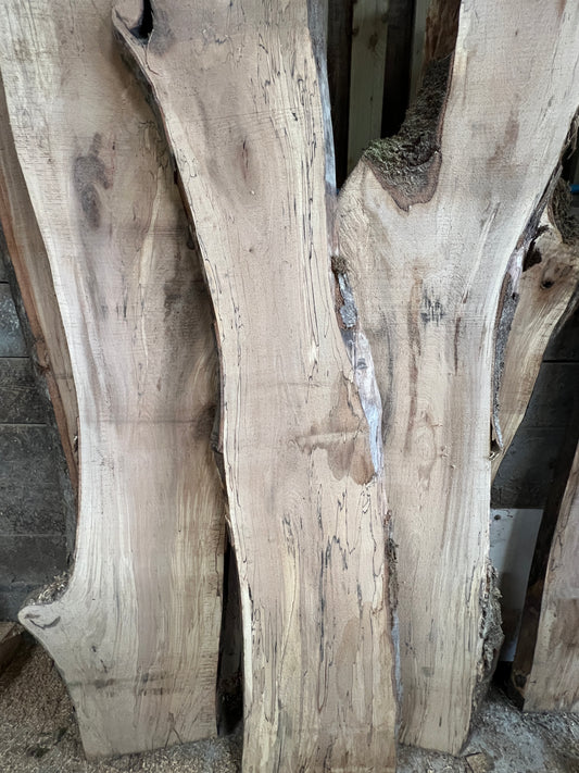 Spalted beech Live edge slabs