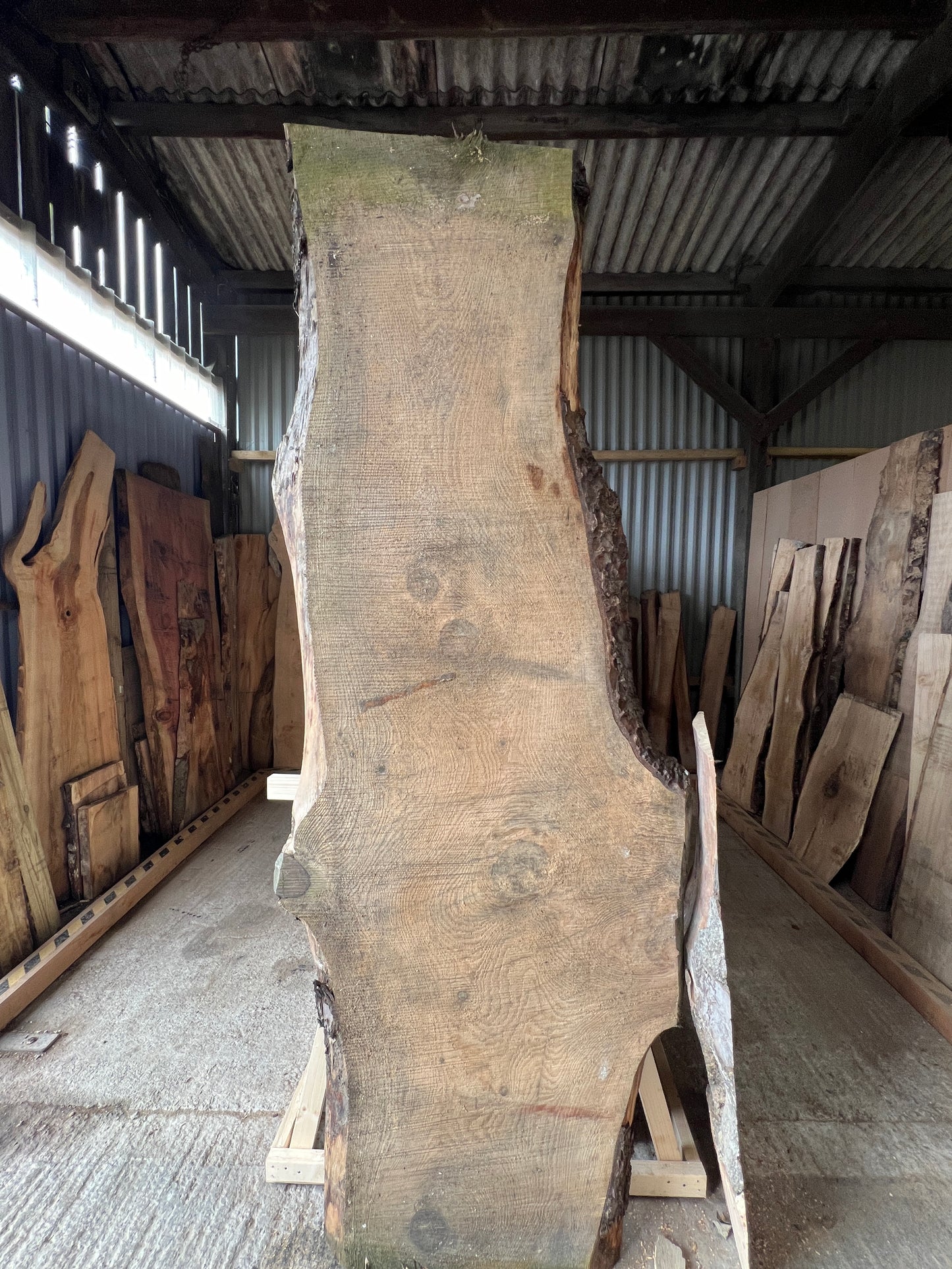 Huge Norway Spruce Live edge slab